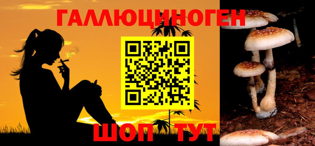 купить закладку  Вход с VPN  Шахты  Галлюциногенные грибы мицелий  Псилоцибиновые грибы мицелий 